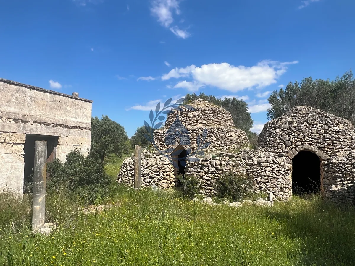 Fotka 14 z 14